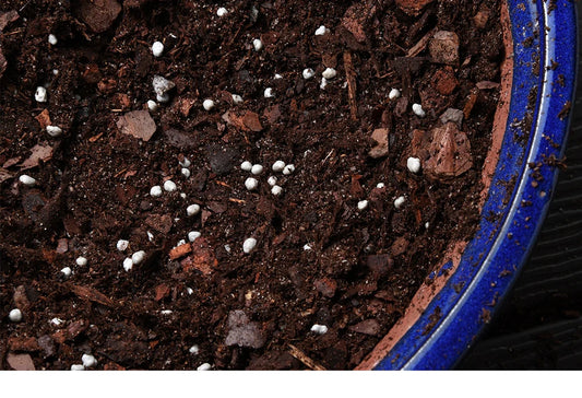 Bonsai Fertilizer Pellets