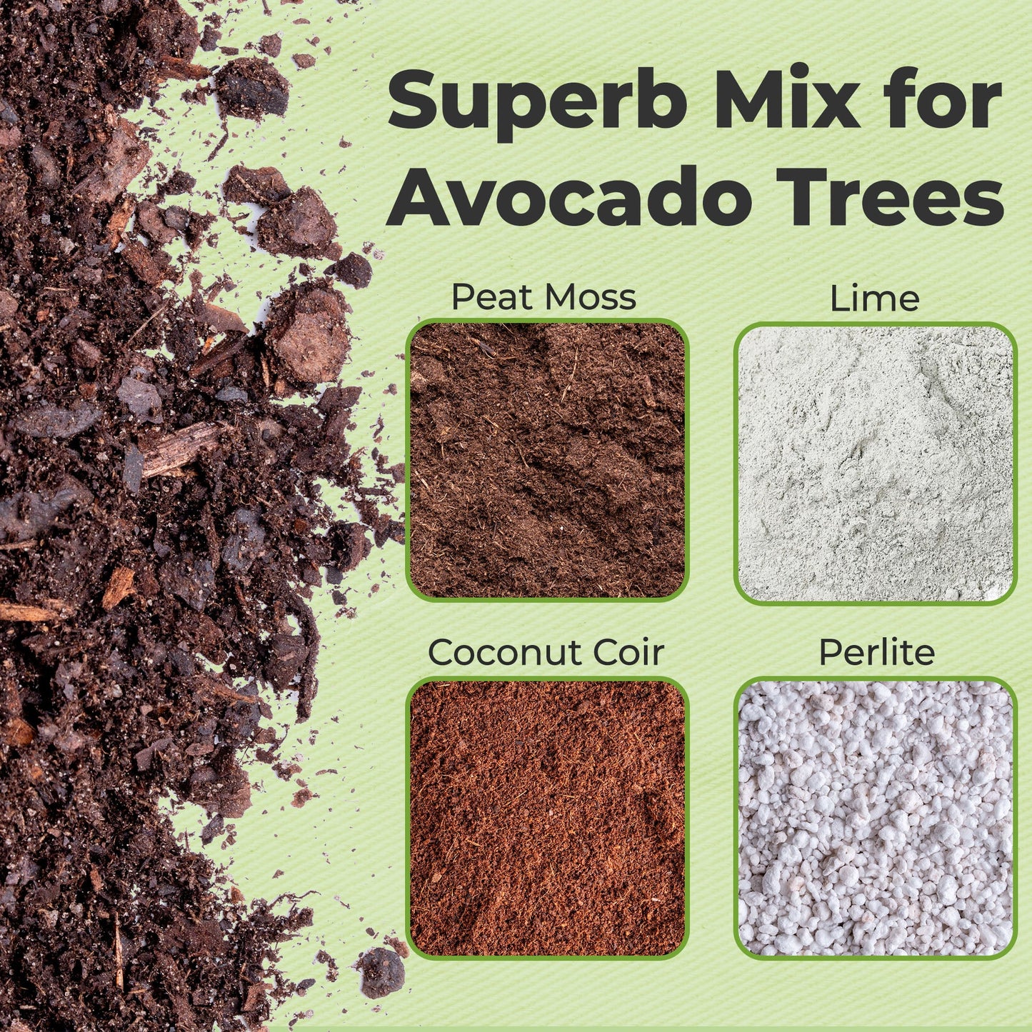 Avocado Potting Soil