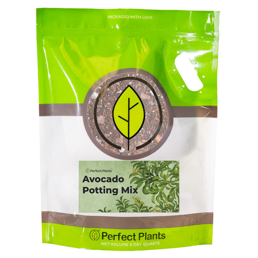 Avocado Potting Soil