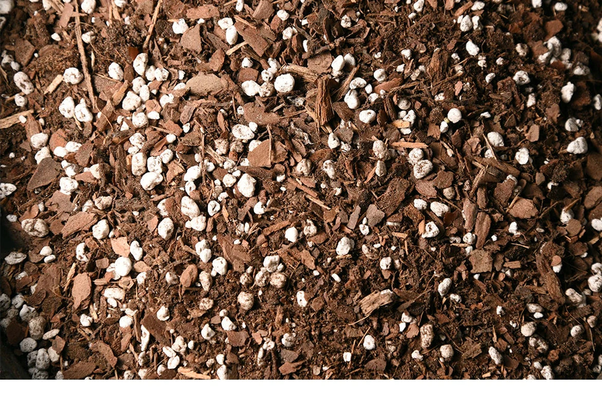 Succulent & Cactus Soil