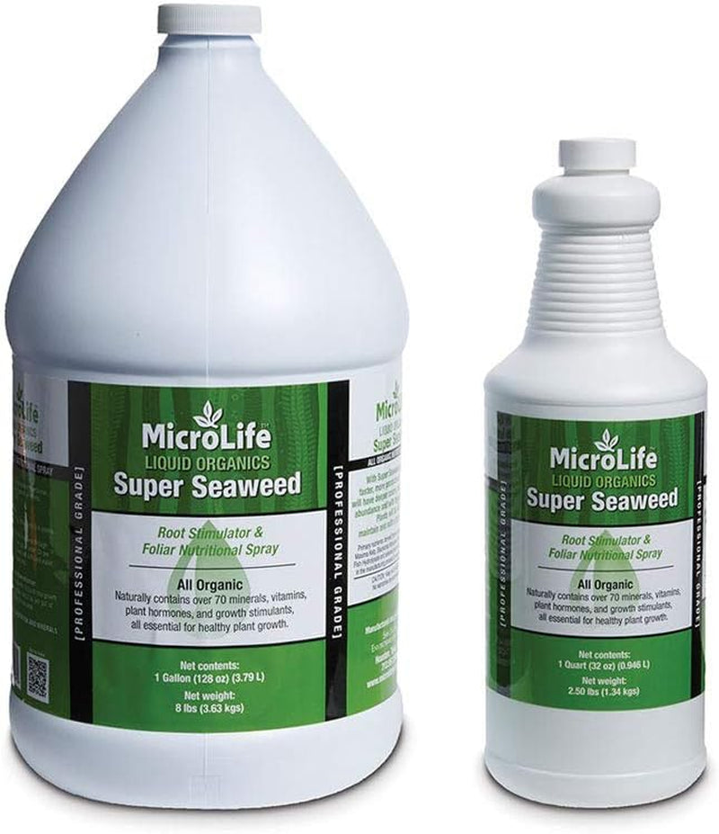 Microlife Super Seaweed Professional Grade Organic Liquid Concentrate Root Stimulator & Foliar Nutritional Spray for All Plants, 1 Quart