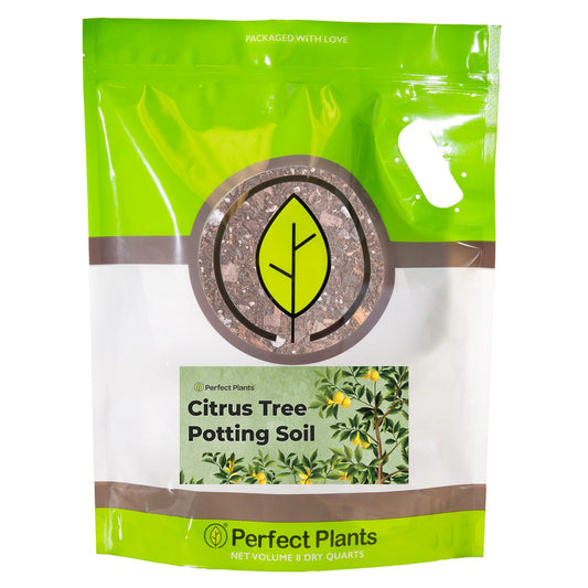 Citrus Potting Soil