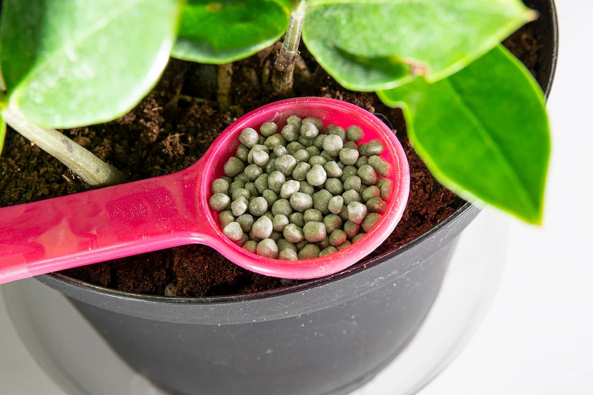 Root Boosting Slow Release Fertilizer