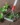 1ab2eb25a08d087fb2d683c1520bc008.png