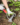 25b53b3e8c4e02cfe31bb62b13fcc033.png