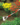 363ded0e139f9f19123b615817292211.png