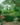 57e4bfe8fafee9f70cfb4f15dc3c6c0a.png