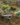 5fc58f015b074df4c4ab55f4a5d40a1a.png