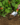 a8f7789734dbc4c791ce0ff86fd9314d.png