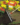 bd4a9b7553311afbf0dbc53b38cda67b.png