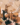 d749ee8659f776c3e6ae4d1238ee2ac5.png