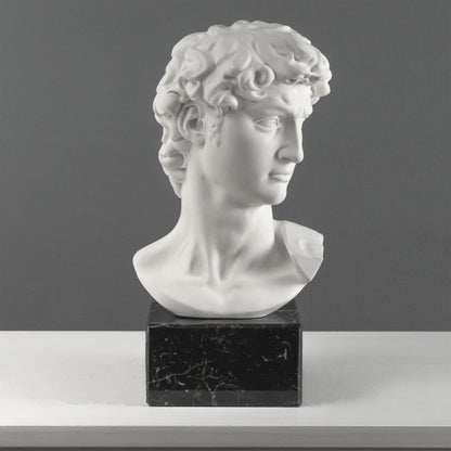 David Bust by Michelangelo on Black Marble Base (Large)