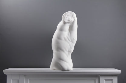 Male Torso Statue