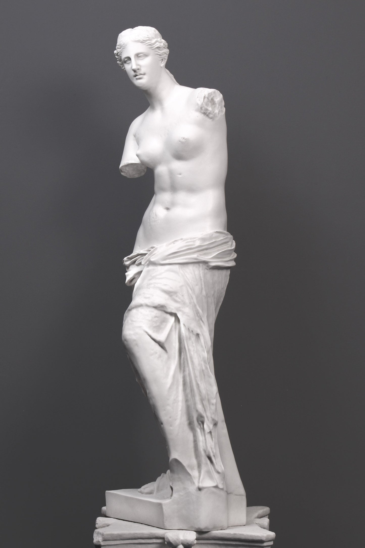 Venus De Milo Statue
