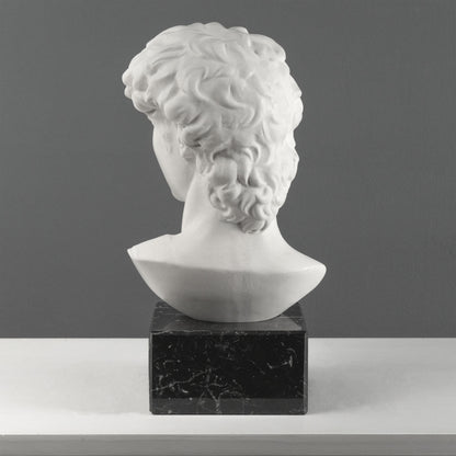 David Bust by Michelangelo on Black Marble Base (Large)