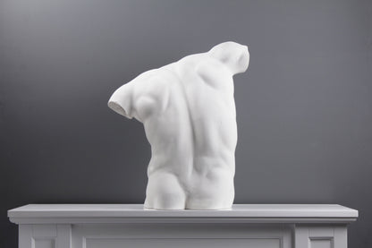 Male Torso Statue