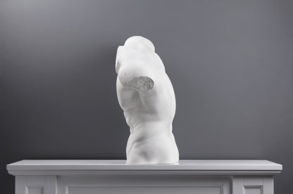 Male Torso Statue