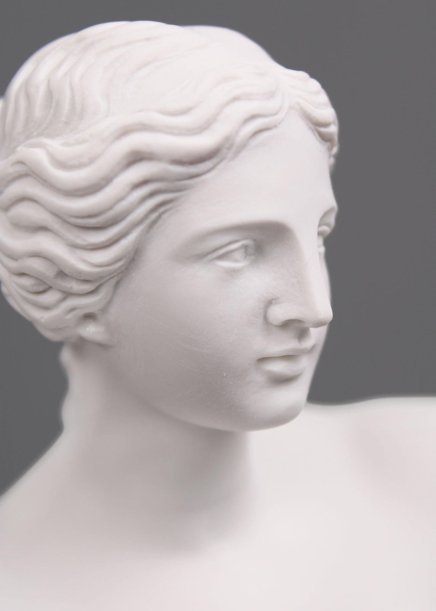 Venus De Milo Statue (Medium)