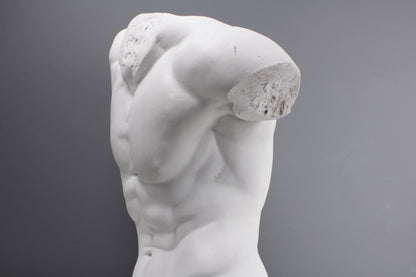 Male Torso Statue