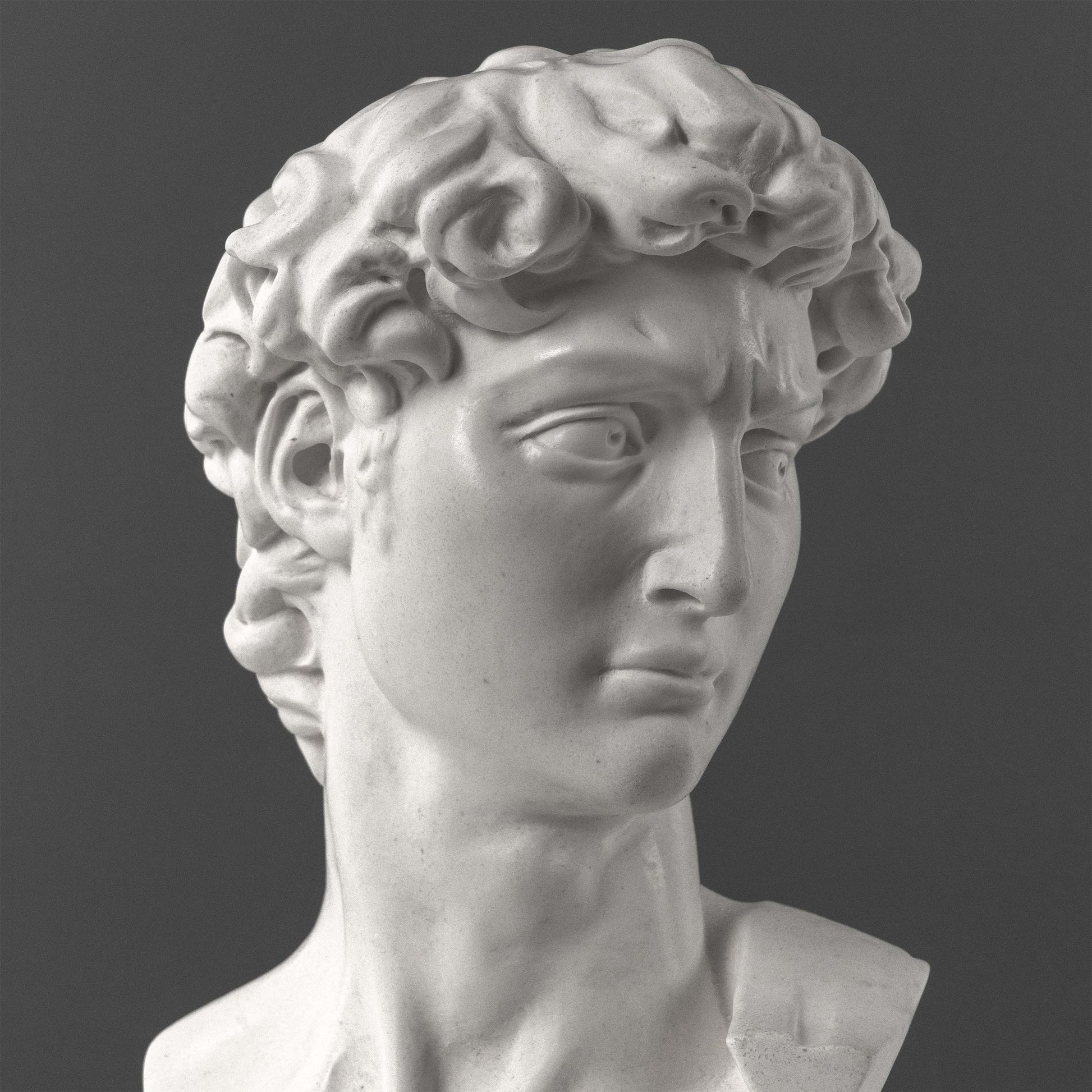 David Bust by Michelangelo on Black Marble Base (Large)