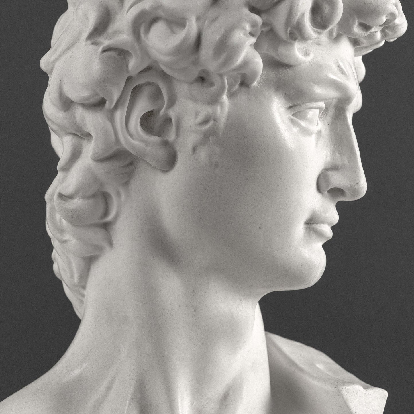 David Bust by Michelangelo on Black Marble Base (Large)