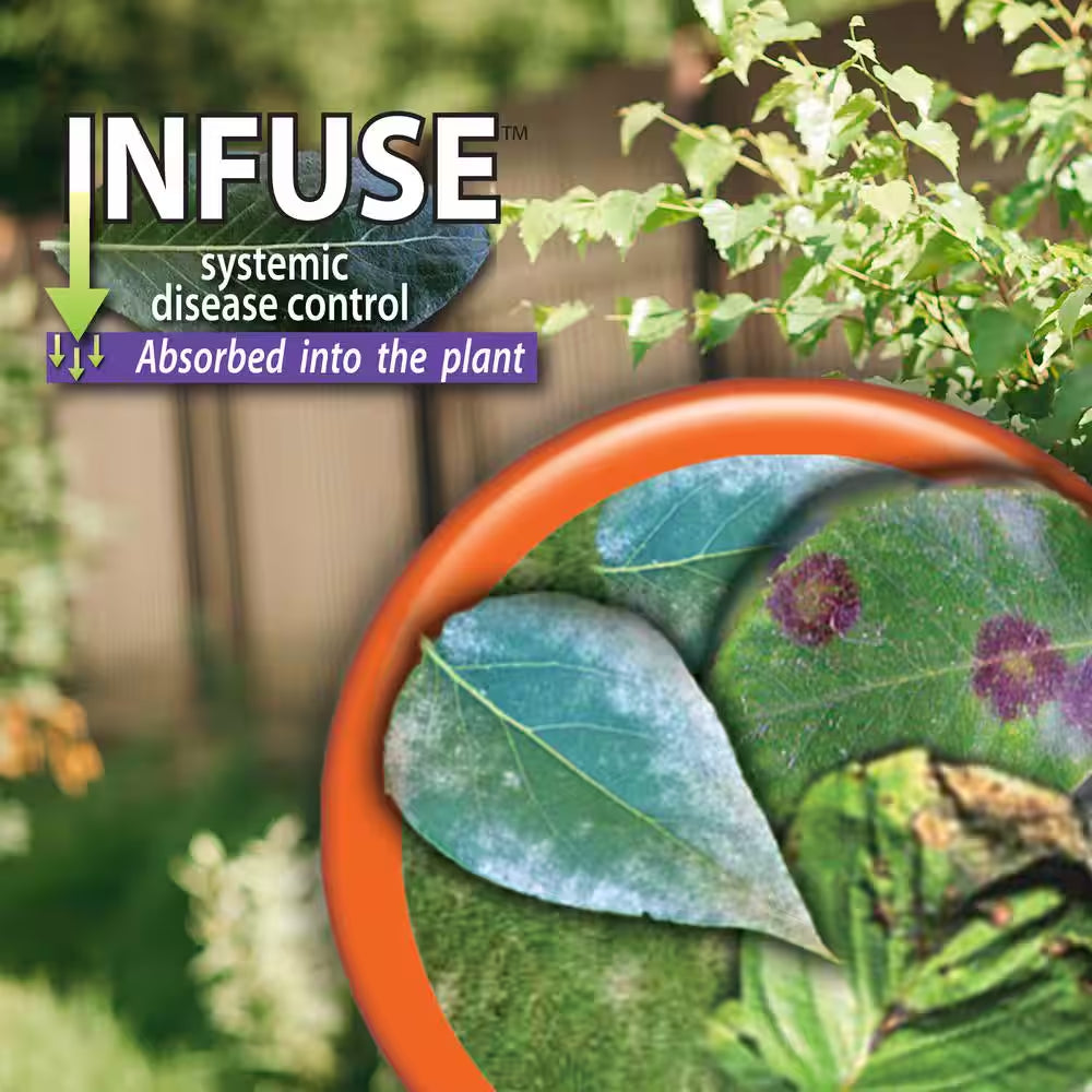 Infuse Systemic Disease Control, 16 Oz Concentrated Solution for Plant Disease Control, Long Lasting and Waterproof