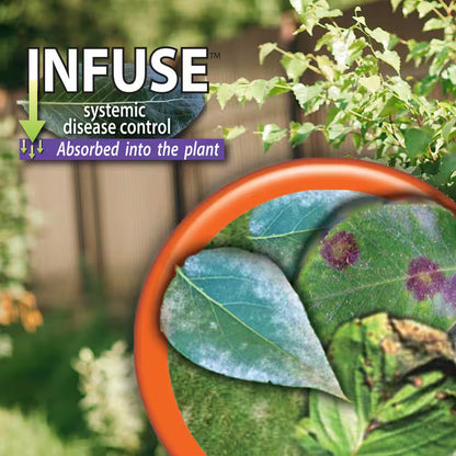 Infuse Systemic Disease Control, 16 Oz Concentrated Solution for Plant Disease Control, Long Lasting and Waterproof