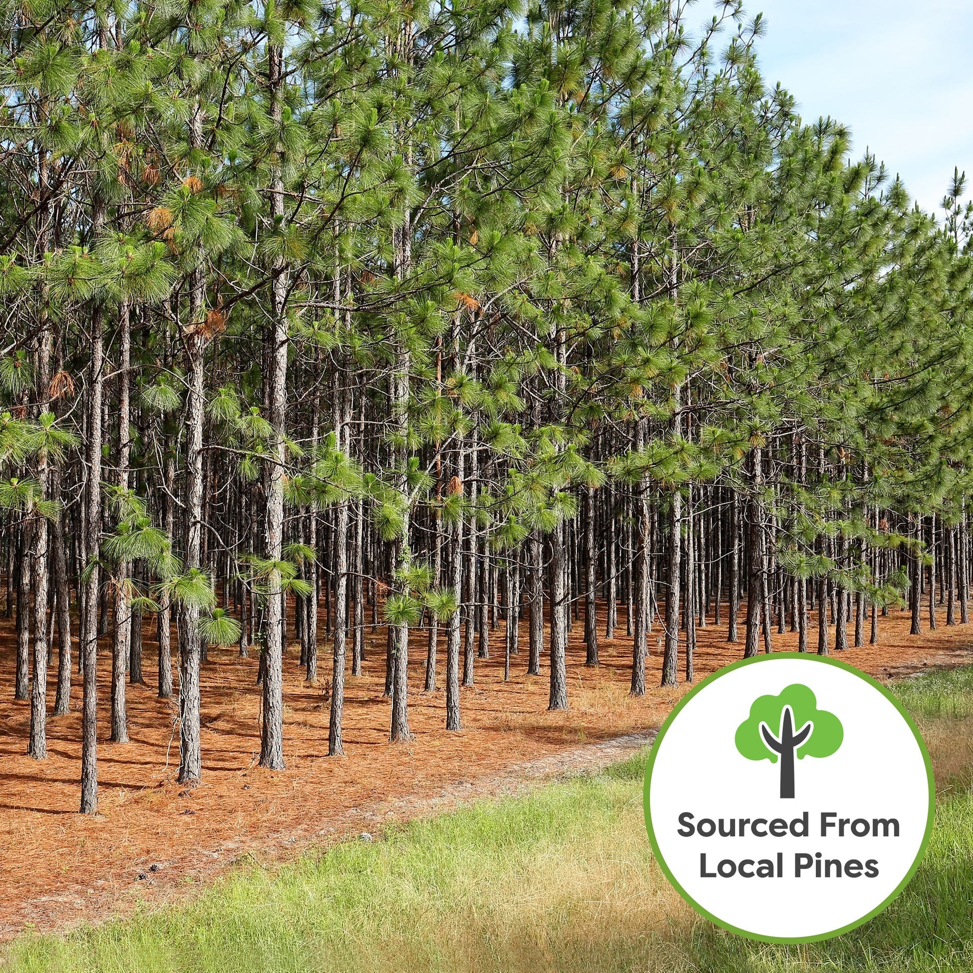 Premium Orchid Bark Mix