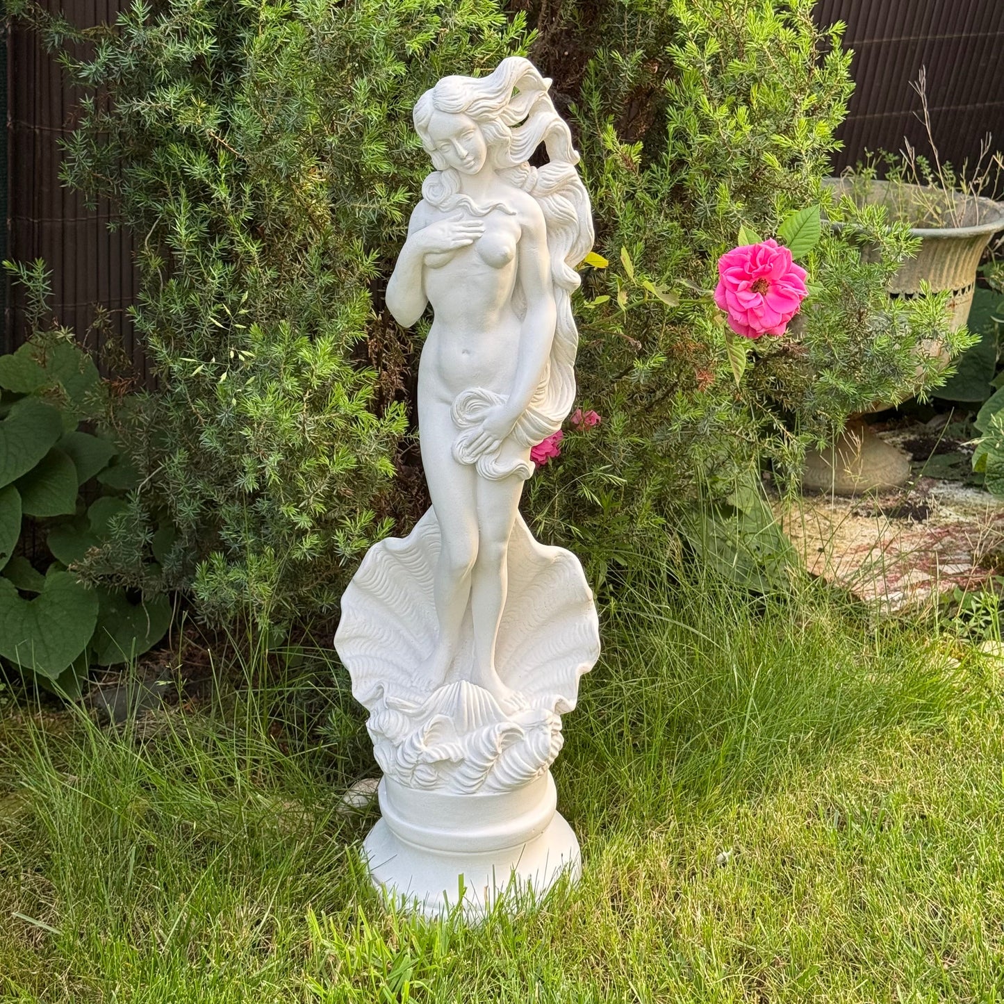 Birth of Venus Garden Statue
