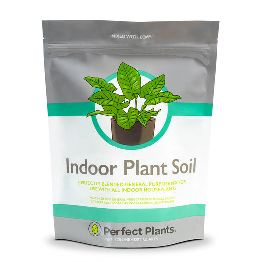 Indoor Plant Soil Mix