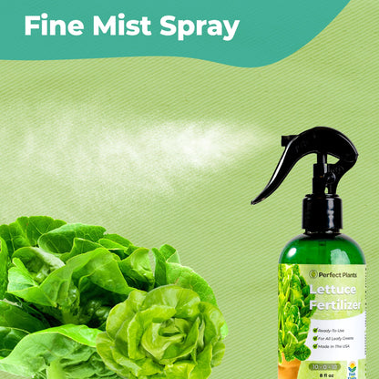 Lettuce Fertilizer