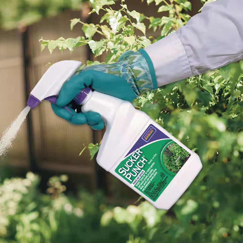 Sucker Punch, 16 Oz. Ready-To-Use Spray, Control Unwanted Plant Sprouts, Plant Growth Regulator for Home Garden