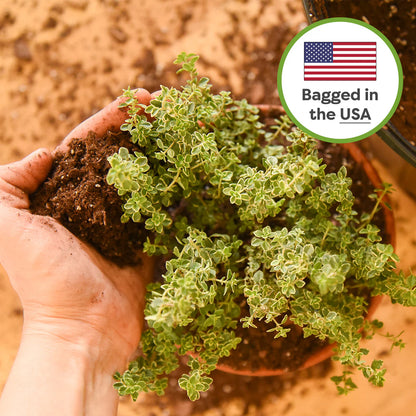 Indoor Plant Soil Mix