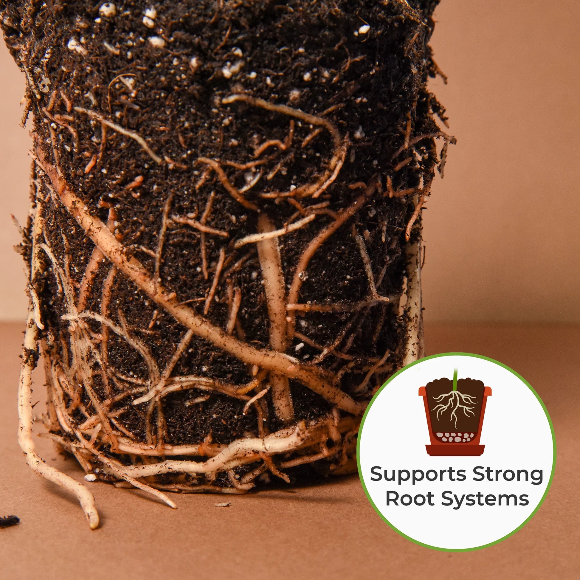 Snake Plant Soil Mix