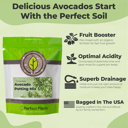 Avocado Potting Soil
