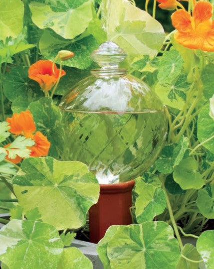 Plant Nanny 24oz Spiral Fluted Watering Globe and Stake Set