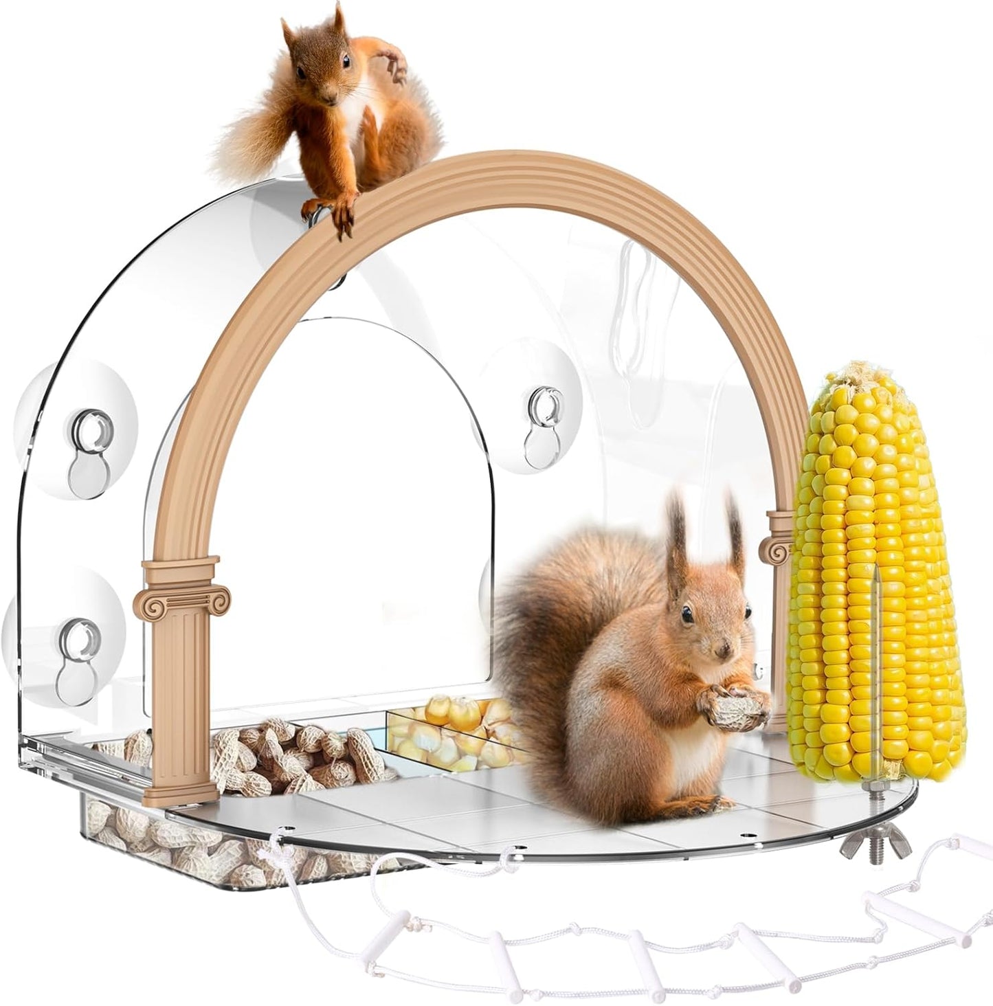 Window Squirrel Feeder, Large Squirrel Feeder for Outside,Funny Squirrel House with 5 Suction Cups，Plastic Squirrel Feeder Which Easy to Install,No Assembly Required