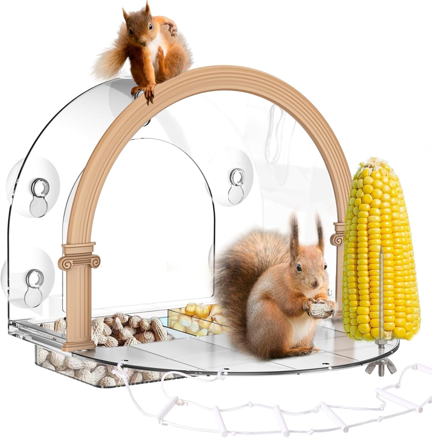Window Squirrel Feeder, Large Squirrel Feeder for Outside,Funny Squirrel House with 5 Suction Cups，Plastic Squirrel Feeder Which Easy to Install,No Assembly Required