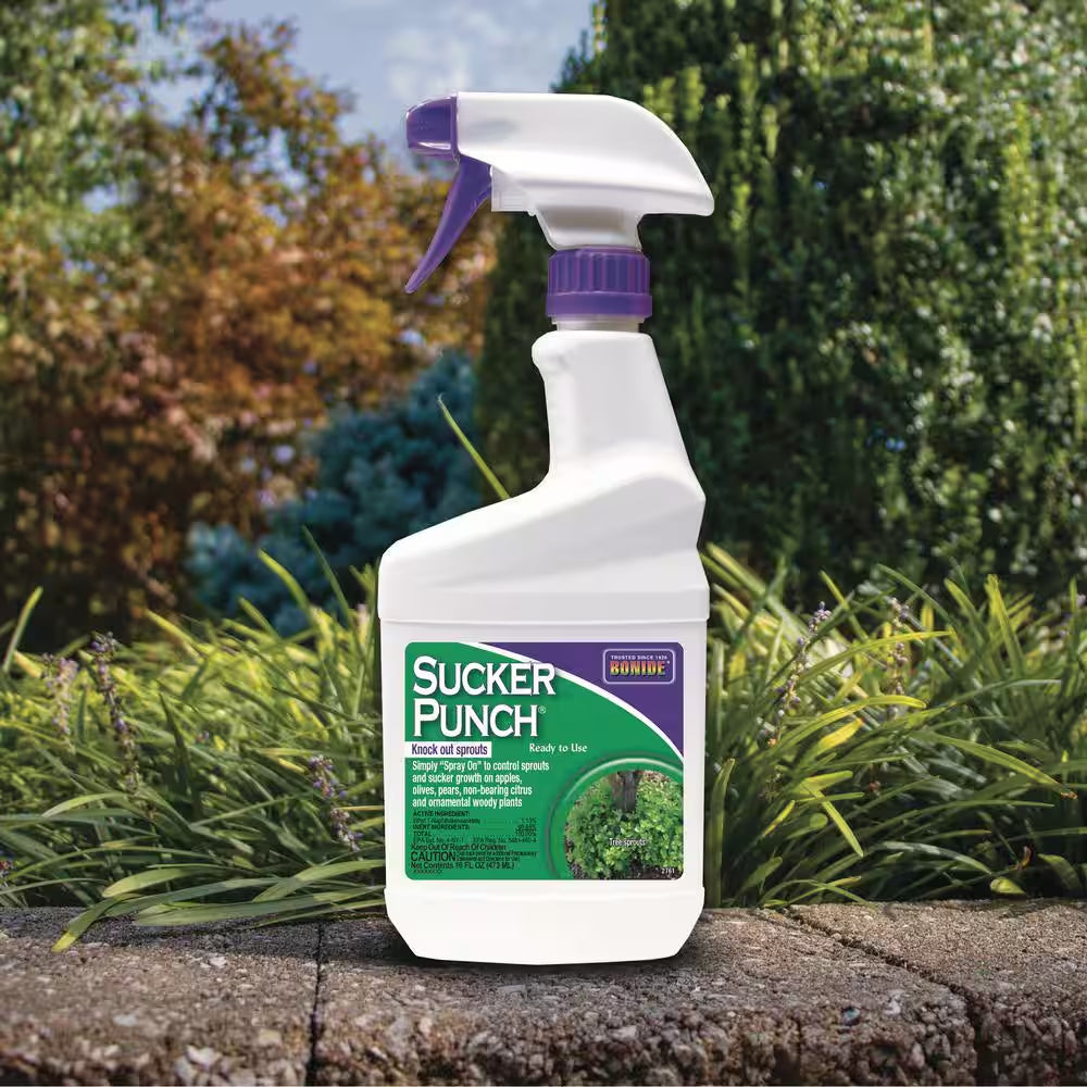 Sucker Punch, 16 Oz. Ready-To-Use Spray, Control Unwanted Plant Sprouts, Plant Growth Regulator for Home Garden