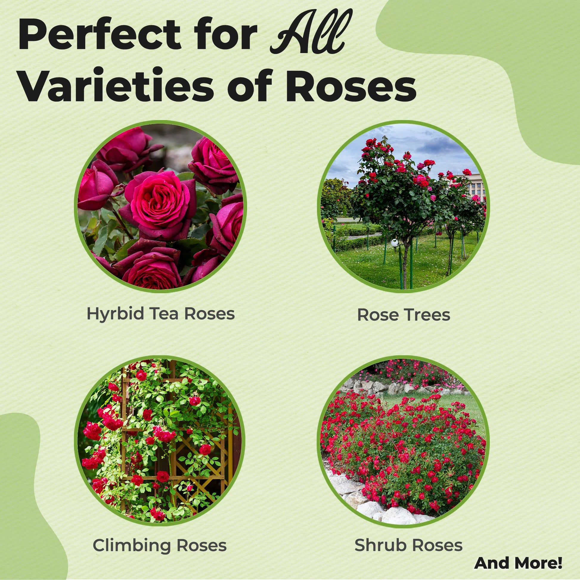 Rose Soil Mix