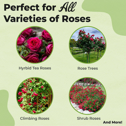 Rose Soil Mix