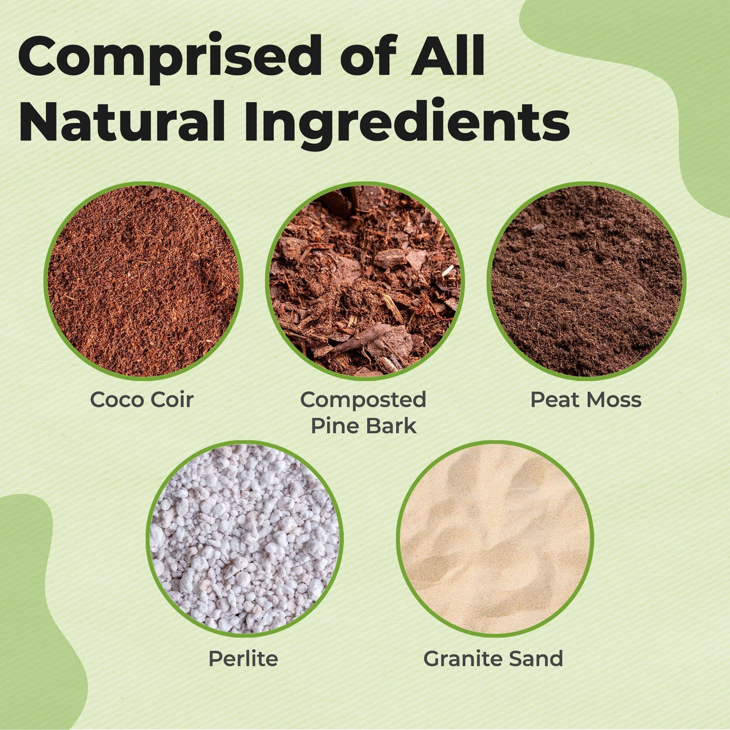 Christmas Cactus Potting Soil