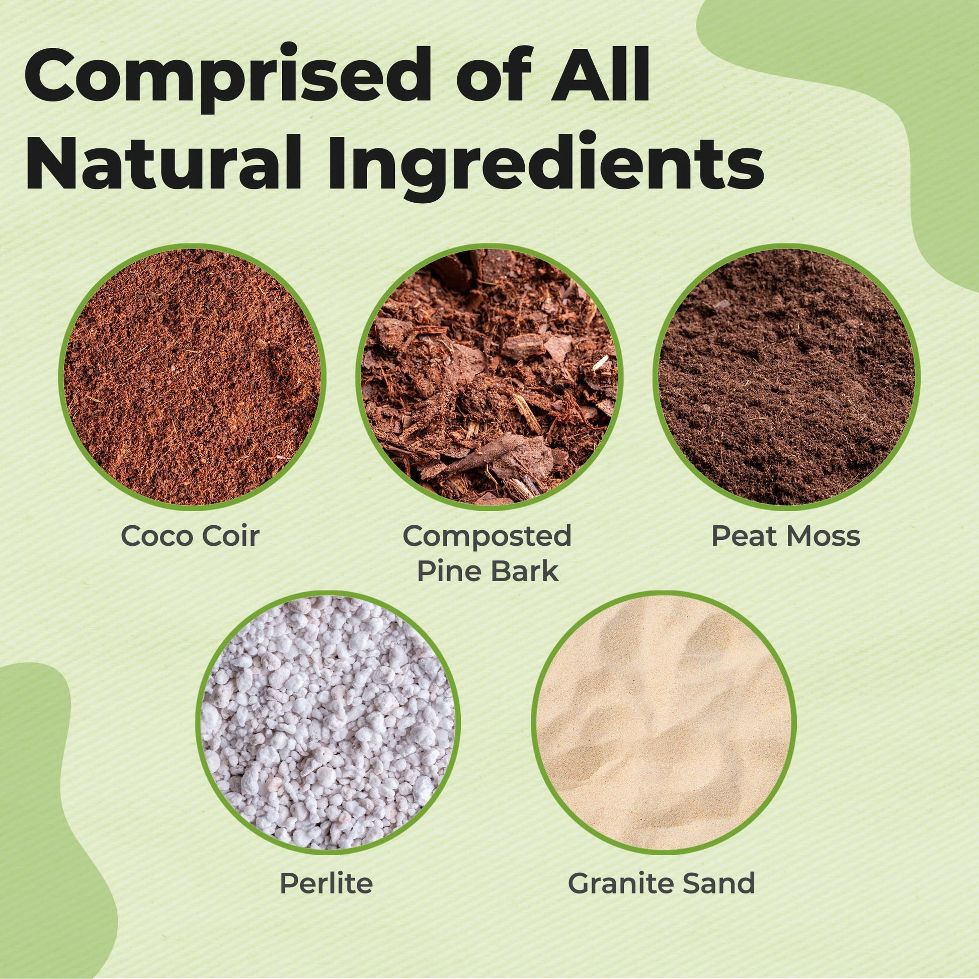 Christmas Cactus Potting Soil