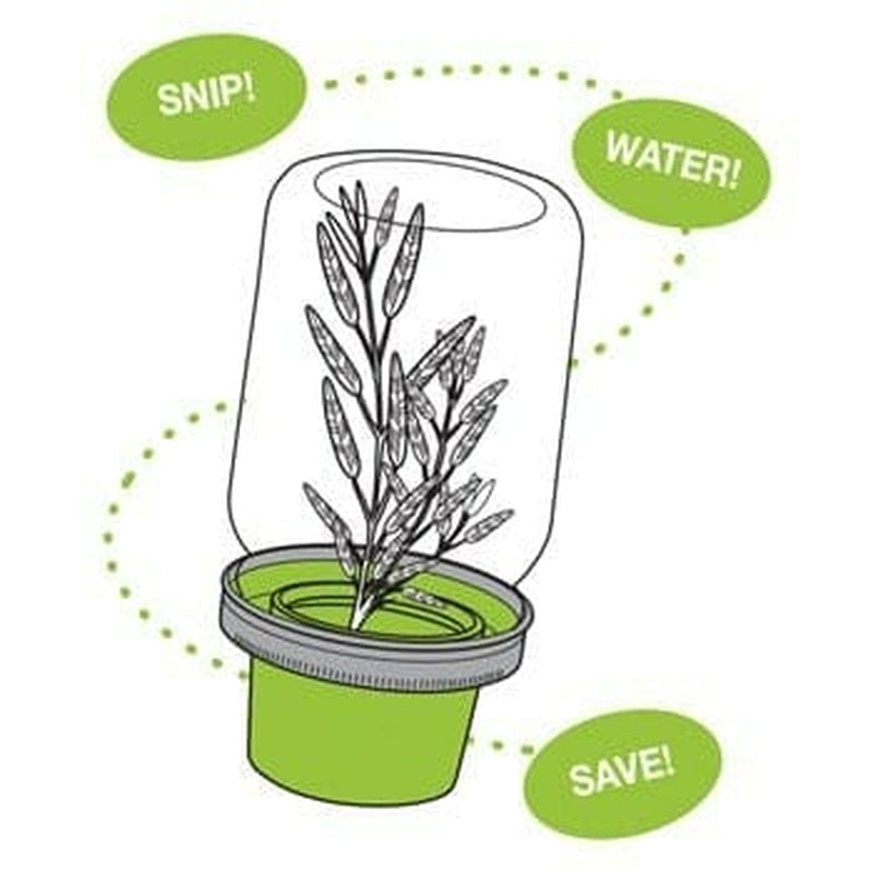 Jarware Herb Saver Lid for Wide Mouth Mason Jars