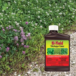 Triclopyr Ester (8oz)