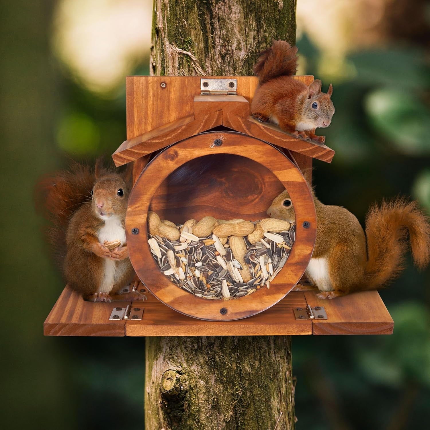 Wood Squirrel Feeder, Squirrel Feeders for outside Winter, Wooden Chipmunk Feeder for Corn, Peanuts, Durable Box Easy to Fill with the Roof Can Be Opened