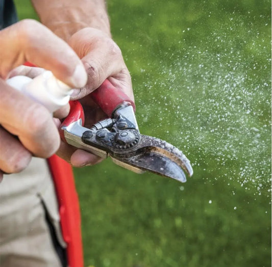 981 Plant Resin Remover Spray