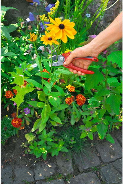 Anvil Secateurs (RS2500)