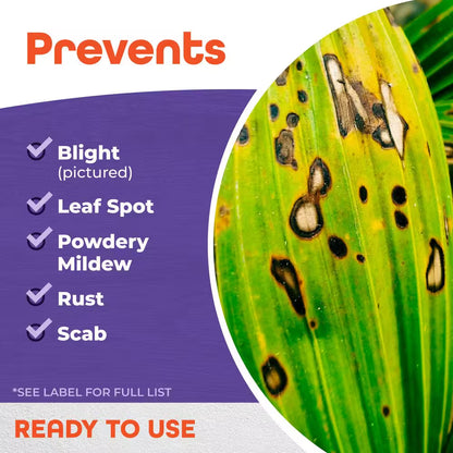 Infuse Systemic Disease Control, 16 Oz Concentrated Solution for Plant Disease Control, Long Lasting and Waterproof