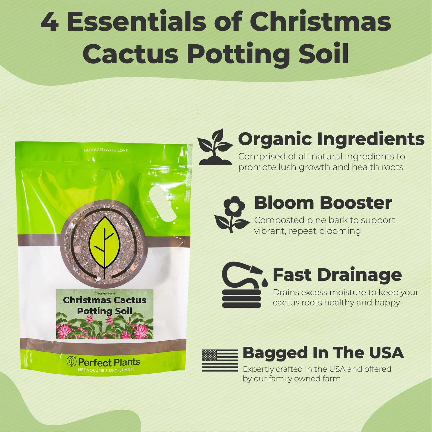 Christmas Cactus Potting Soil